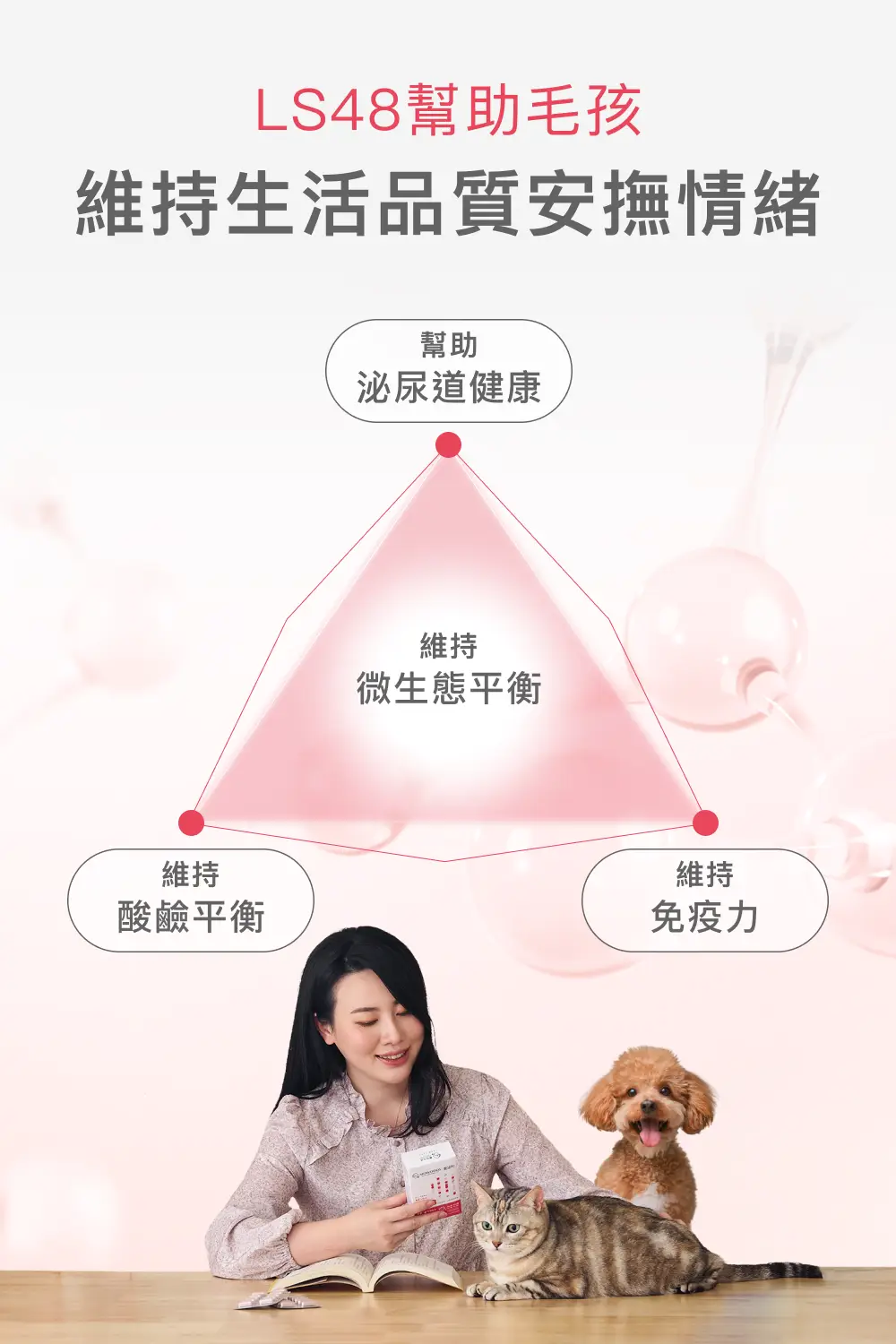 LS48幫助維持泌尿道健康、免疫力與菌叢平衡的三大機制示意