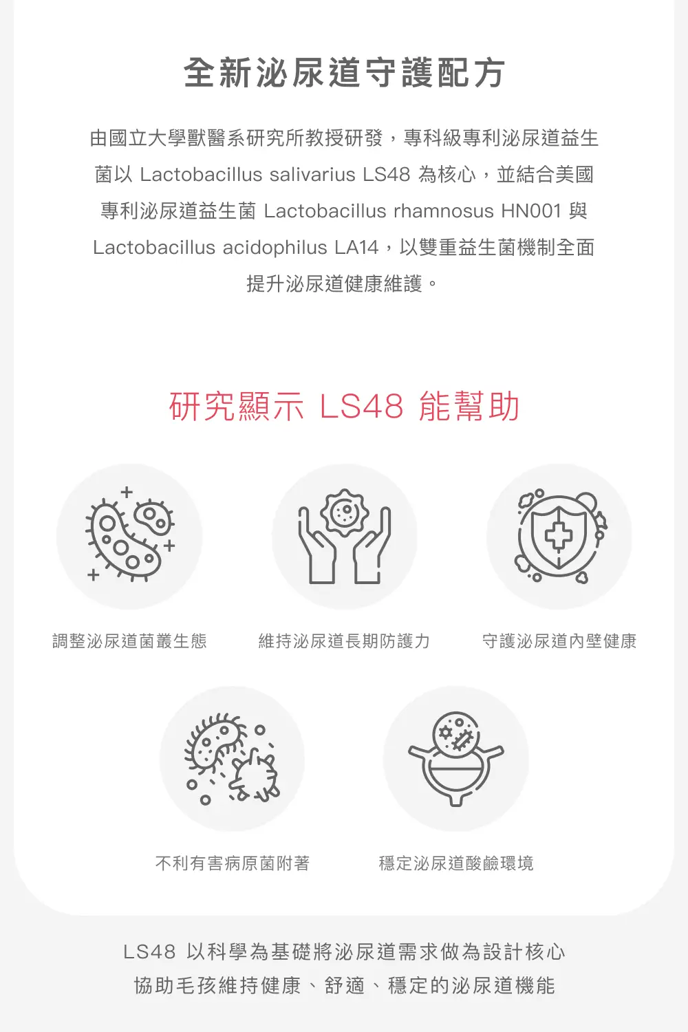 LS48泌尿道益生菌幫助維持菌叢平衡與泌尿道健康