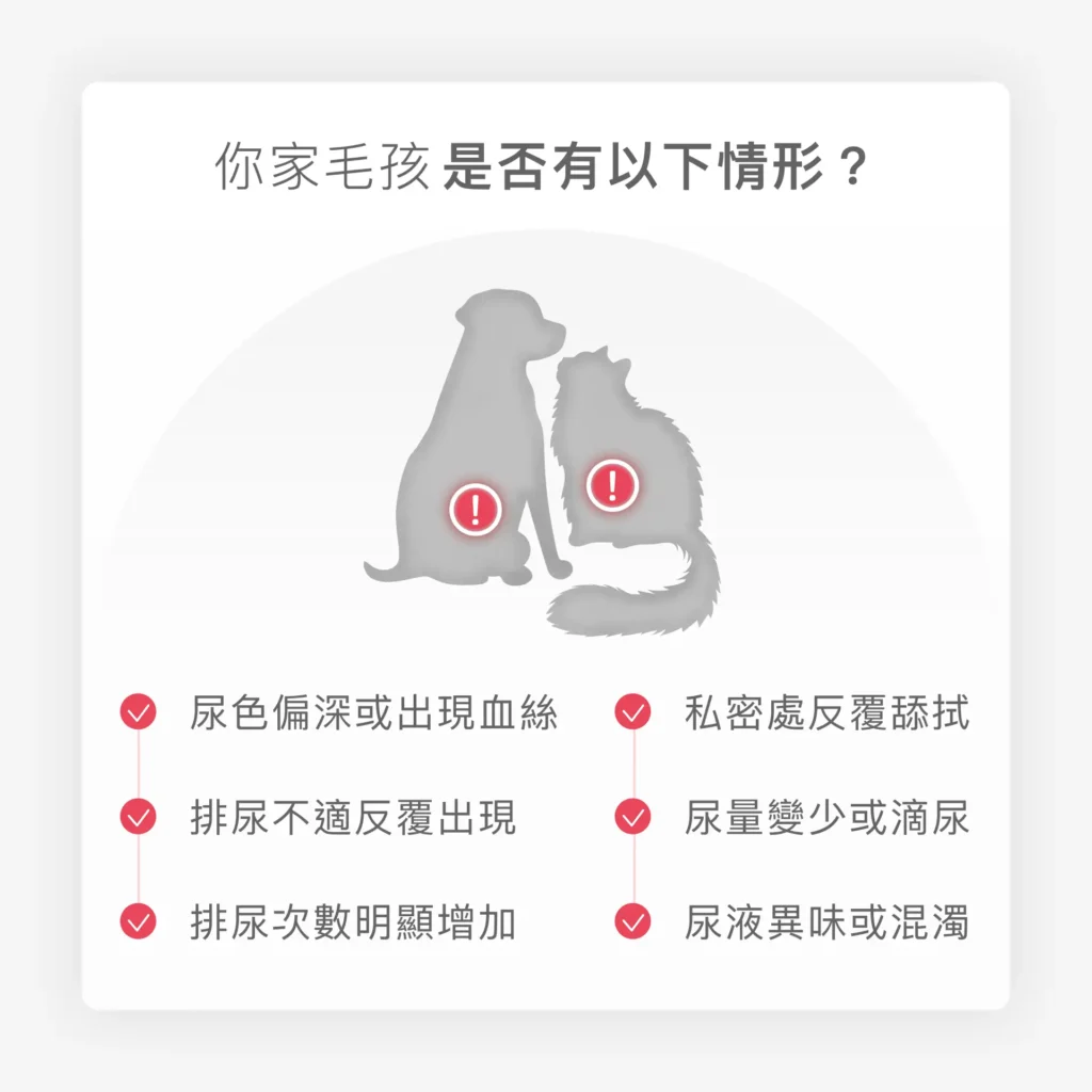 貓狗泌尿道不適症狀示意圖 頻尿 排尿異常 尿液異常