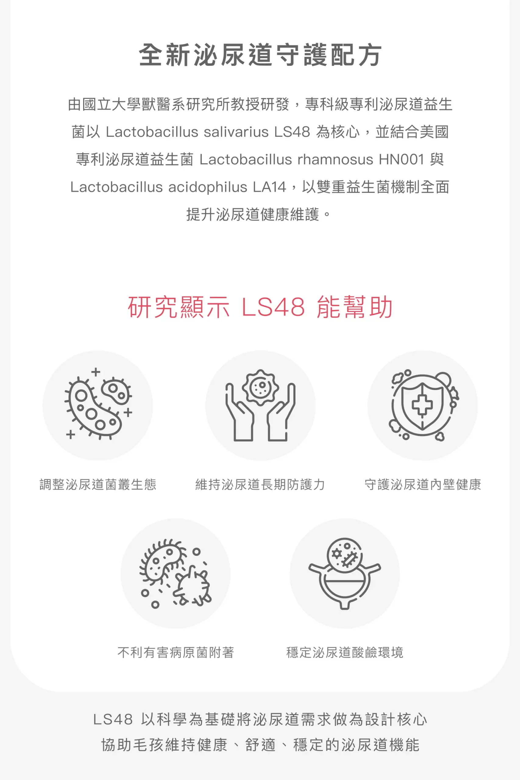 LS48 泌尿道益生菌守護配方與功效說明