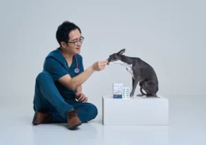 獸醫師推薦的狗狗魚油