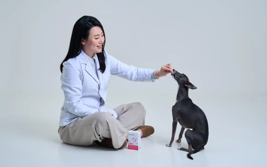 吹冷氣毛孩中暑