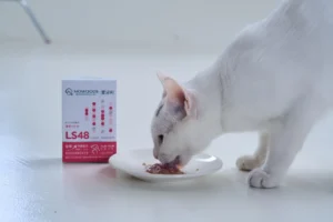 蘑菇生技腎臟益生菌幫助貓咪維持腎臟健康