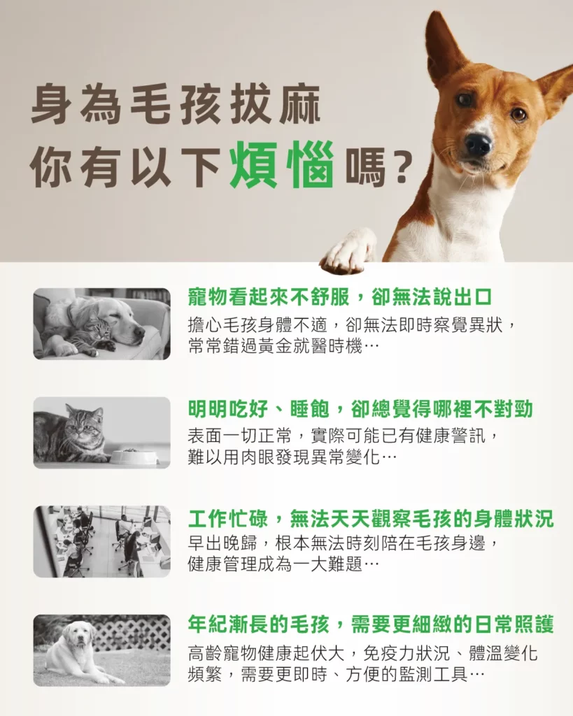 Petimeti寵物智能體溫按摩梳 5 蘑菇生技 Petimeti 寵物智能體溫按摩梳 1 1