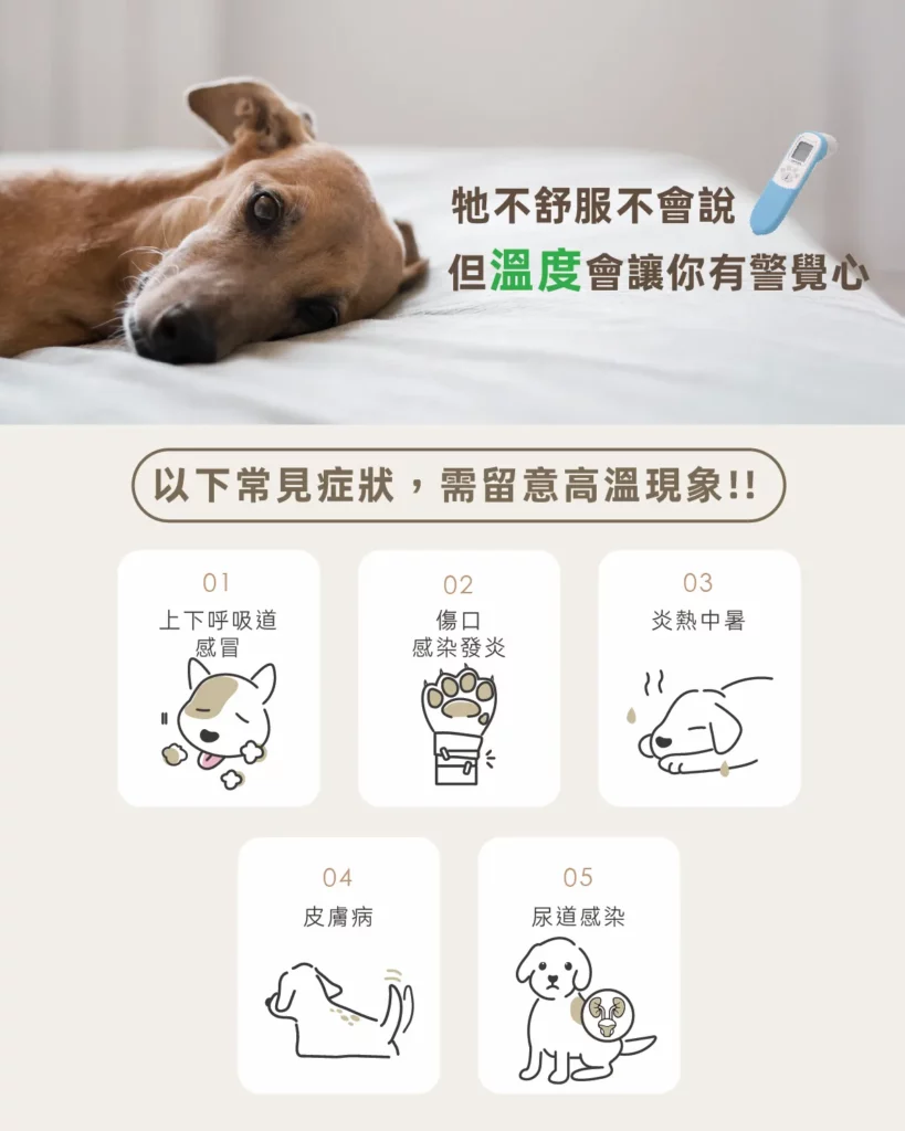 Petimeti寵物智能體溫按摩梳 7 蘑菇生技 Petimeti 寵物智能體溫按摩梳 3