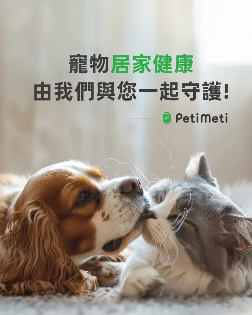 Petimeti寵物智能體溫按摩梳 13 蘑菇生技 Petimeti 寵物智能體溫按摩梳 9