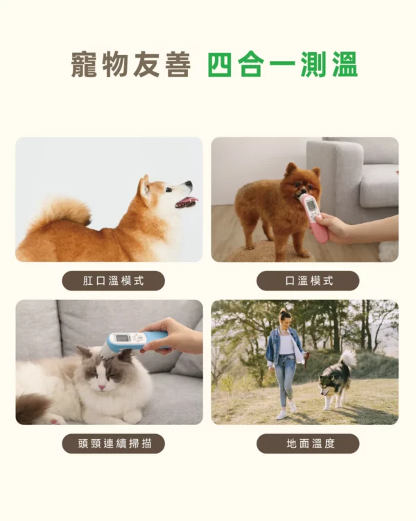 Petimeti寵物智能體溫按摩梳：圖片 4