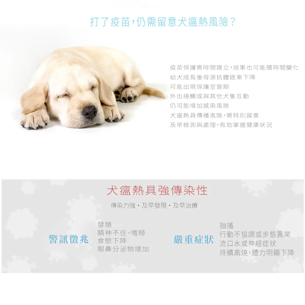 蘑菇生技 mowoods CDV犬瘟熱詳情頁2