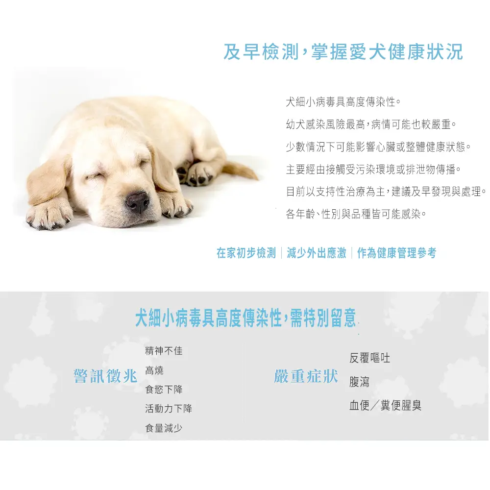 犬細小病毒症狀說明 幼犬感染風險 腹瀉嘔吐精神不振
