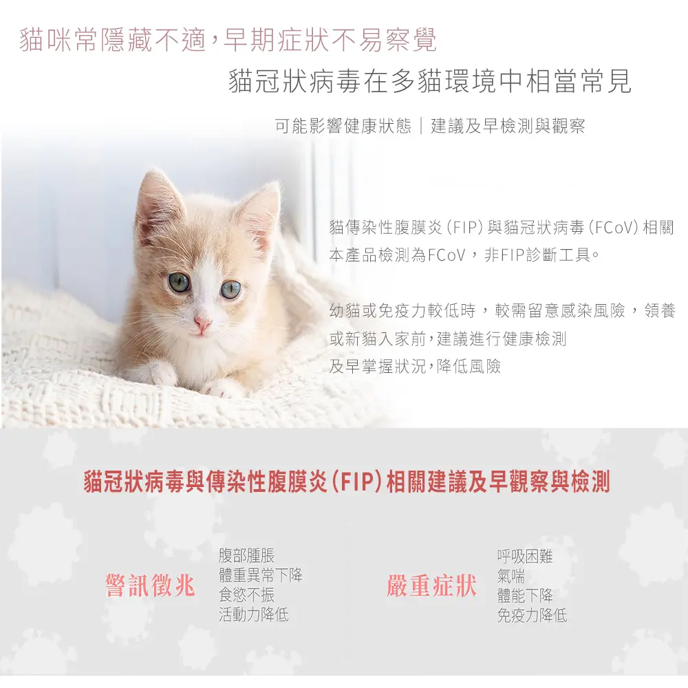 蘑菇生技 mowoods FIP貓傳染性腹膜炎2