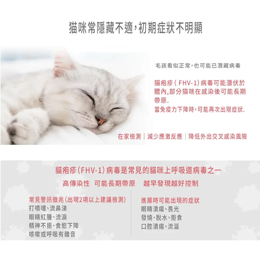 貓疱疹病毒症狀說明，貓咪流眼淚打噴嚏FHV-1感染示意