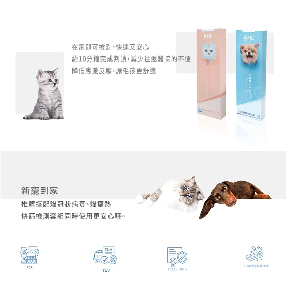 AHL貓咪快篩套組，在家檢測FHV-1快速判讀產品圖