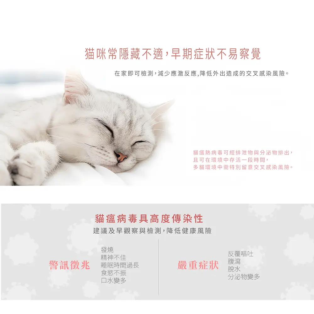 貓瘟症狀示意圖，貓咪精神不振與早期警訊