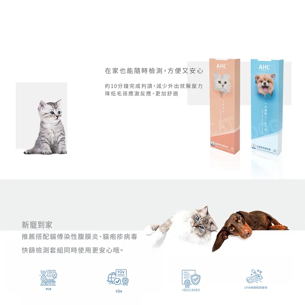 AHL貓瘟快篩居家檢測情境，約10分鐘完成檢測