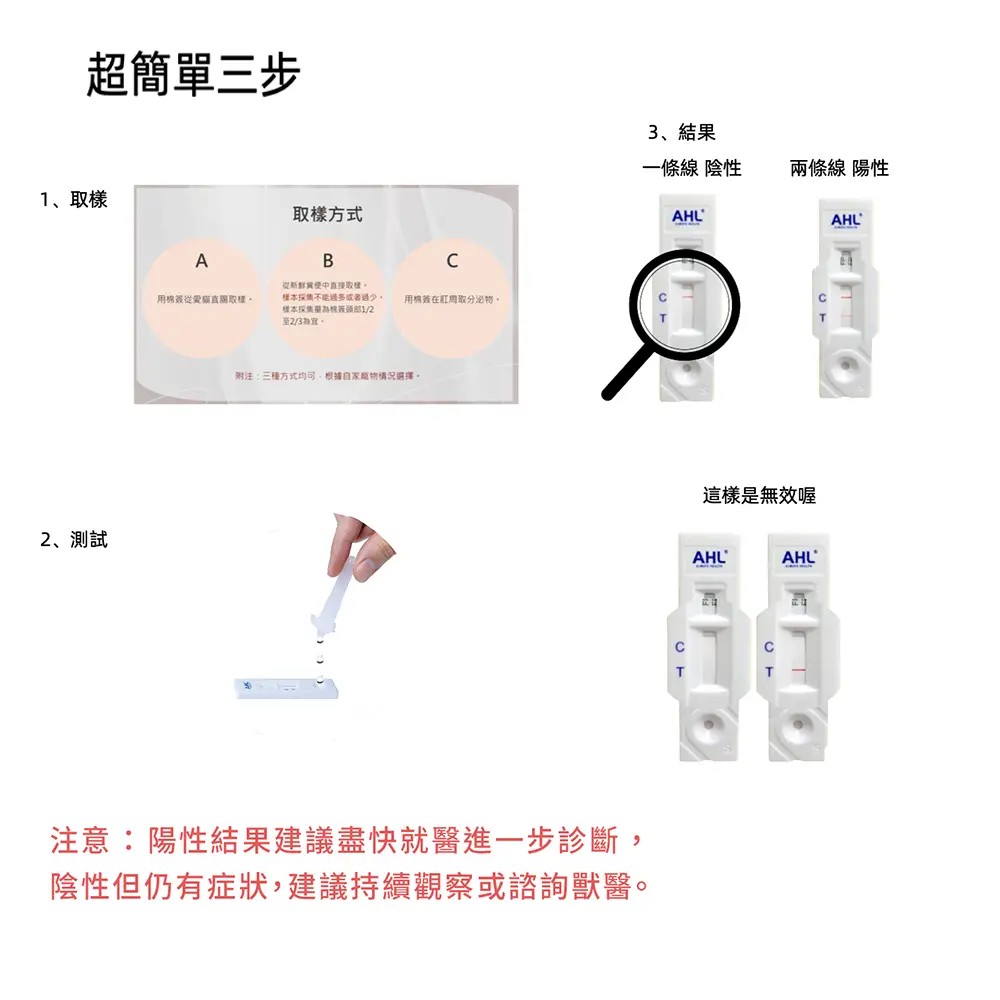 AHL貓瘟快篩操作步驟與判讀方式