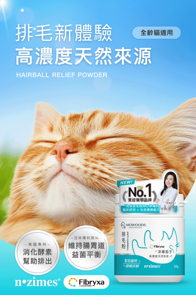 天然貓咪排毛粉，幫助維持腸道順暢與排毛需求的貓咪營養補充品