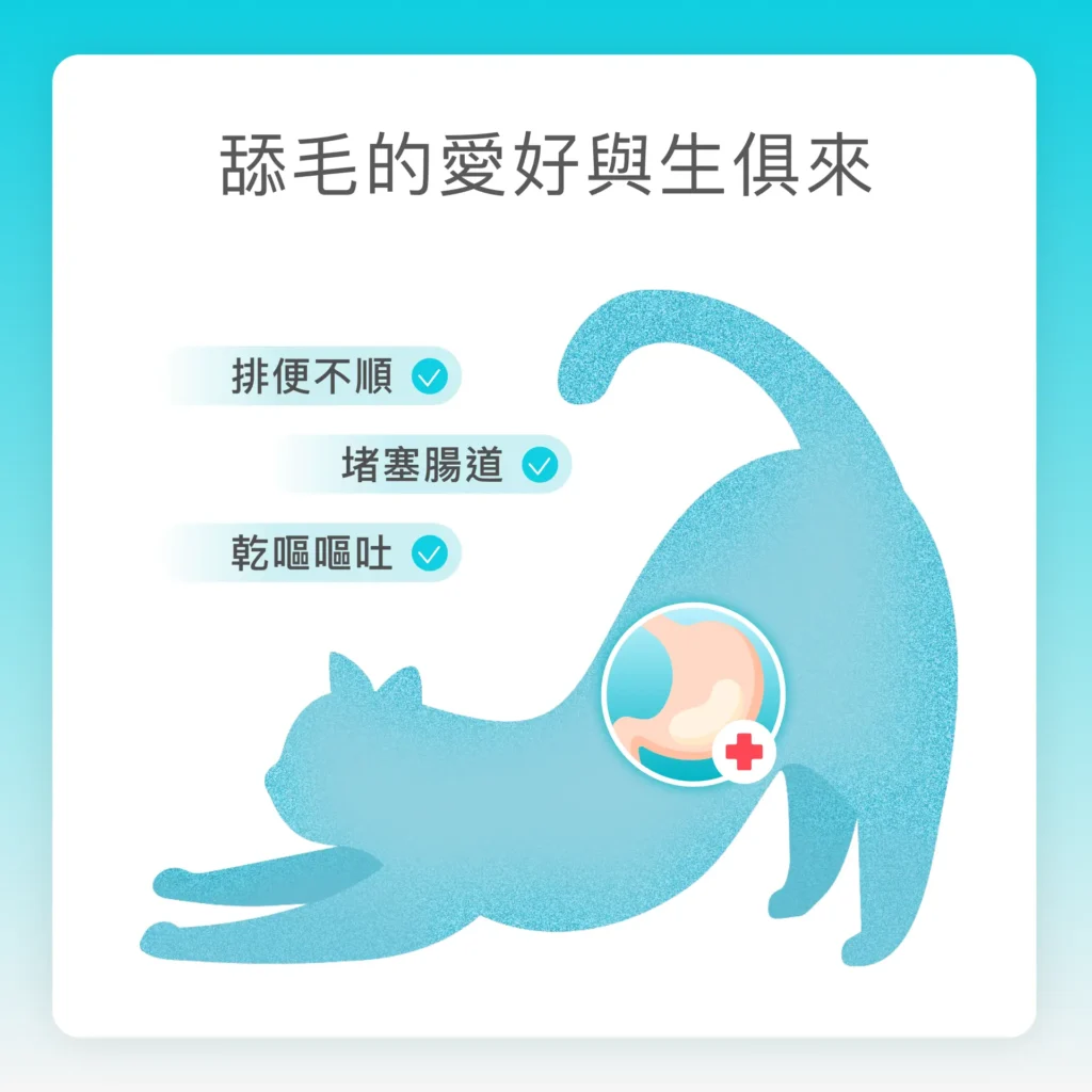 貓咪排毛不順與腸道不適常見情況的示意說明圖
