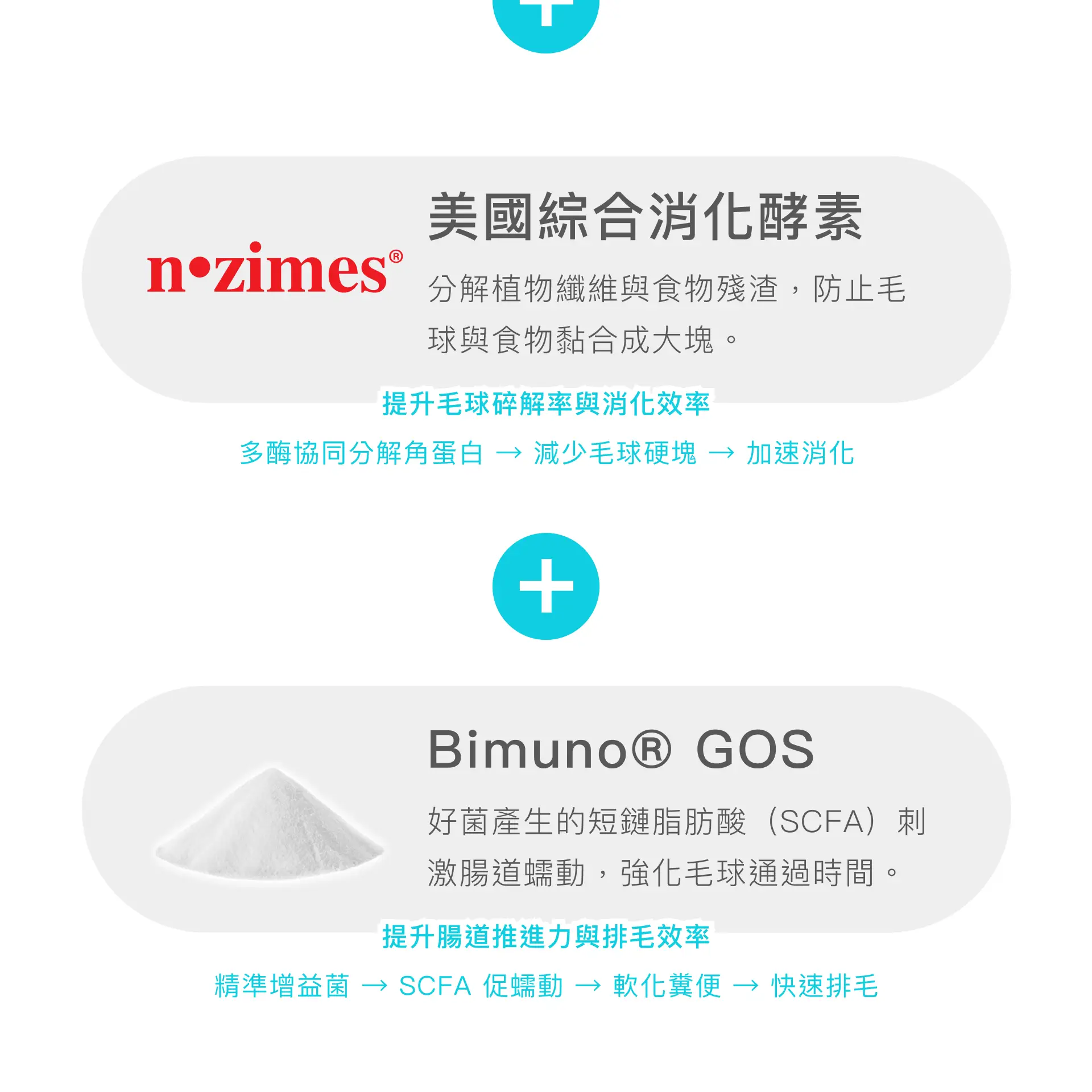 天然貓咪排毛粉添加消化酵素與益生元的排毛原理說明圖