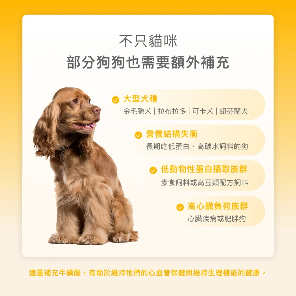 說明哪些狗狗族群需要額外補充牛磺酸的寵物營養重點圖