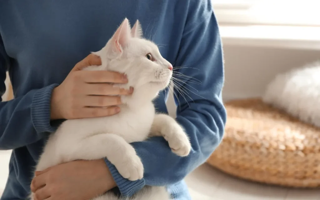 如何為毛孩挑選寵物保健品有三個評估方式